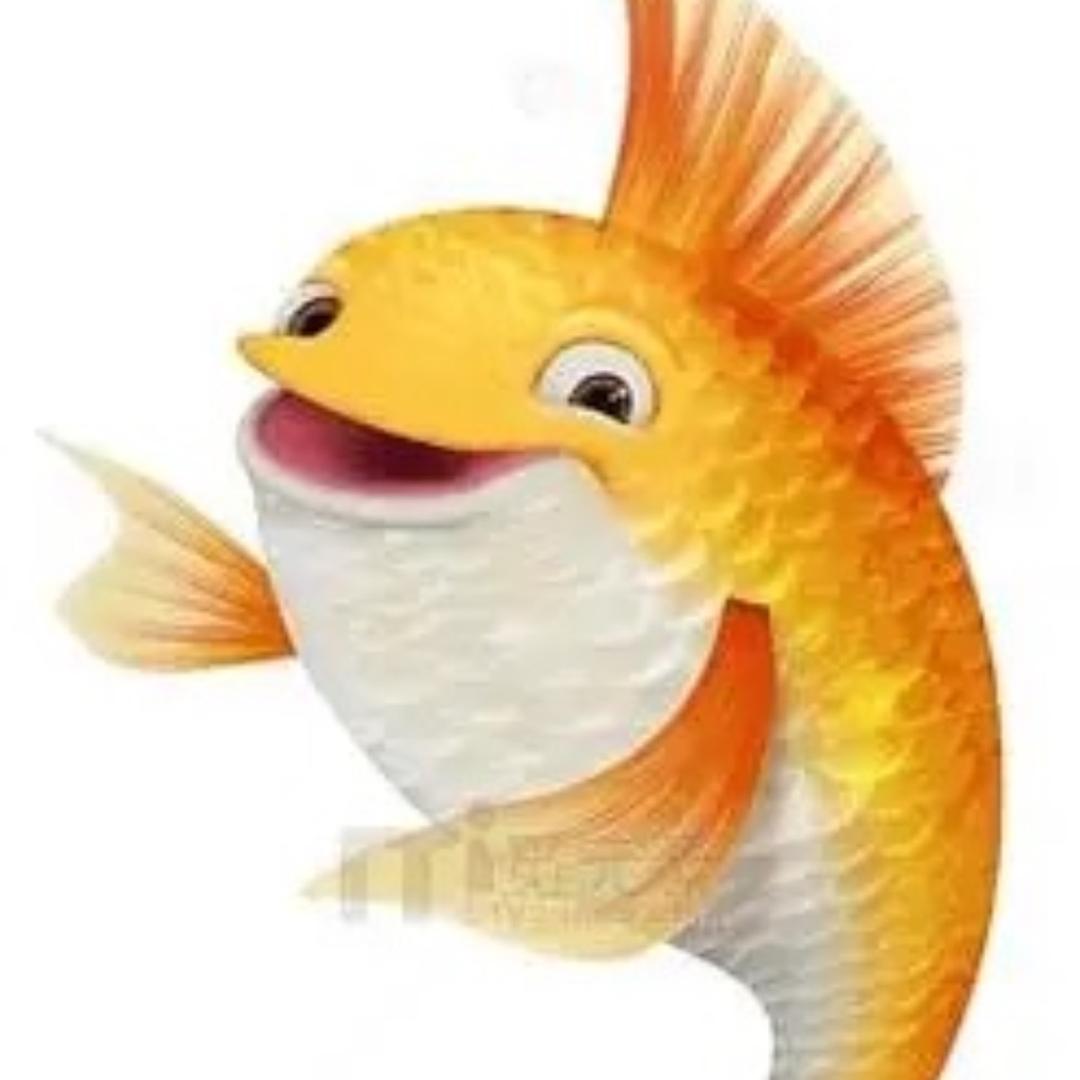 鱼尔娱