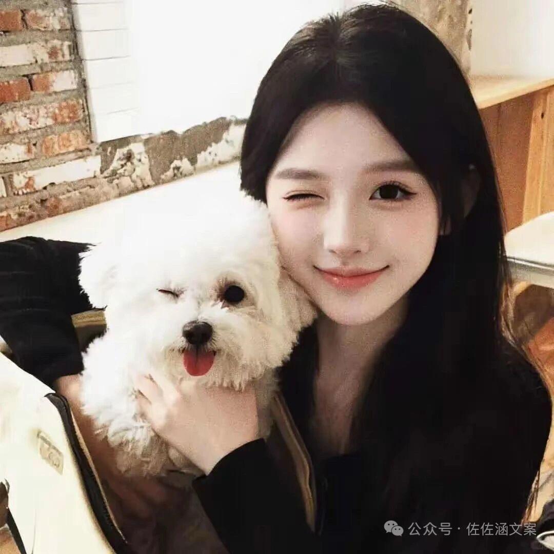 🐾 怪怪的卤蛋