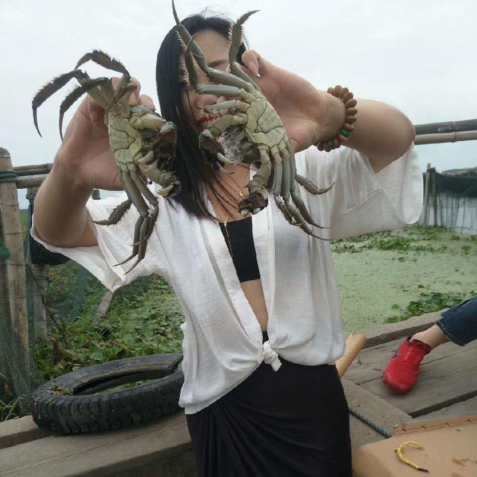 涡阳四姐小龙虾海鲜批发