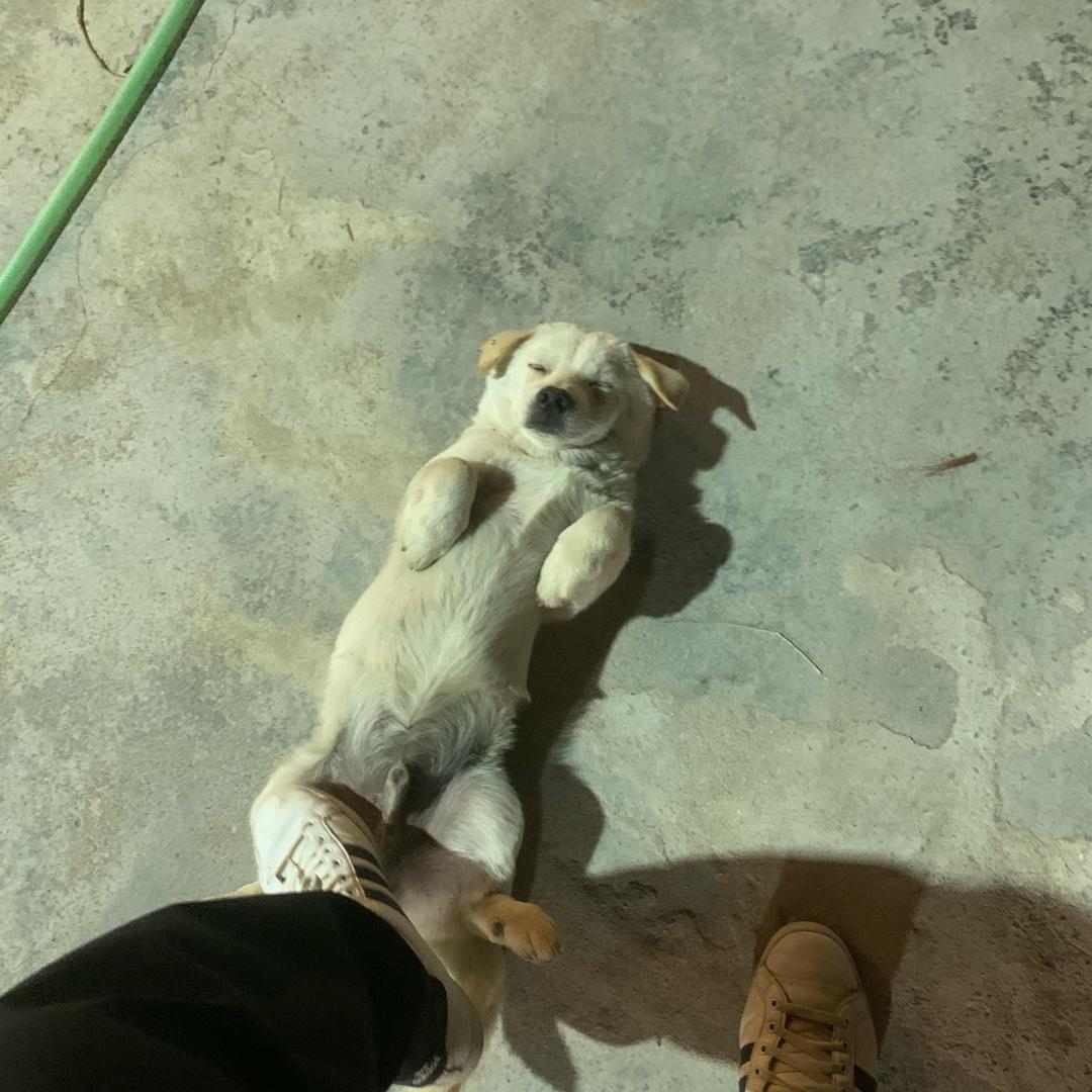 不是阿榕的海鲜之家