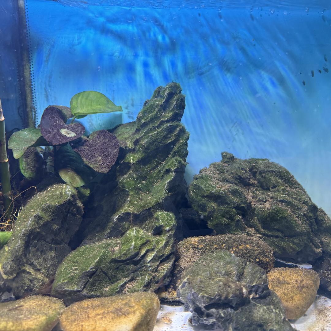 博丹优选，一手货源！