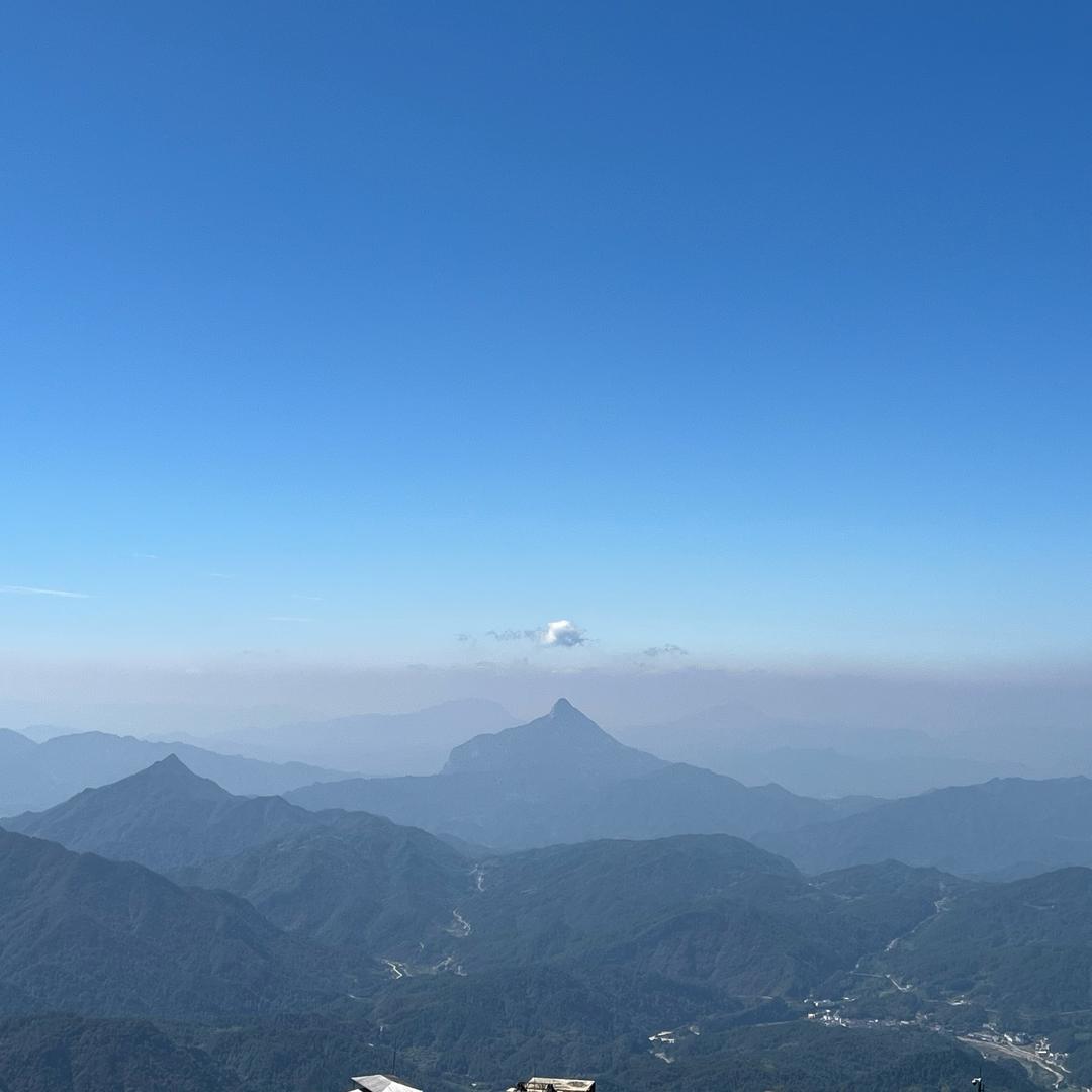 土豆🥔（INFP）🍟