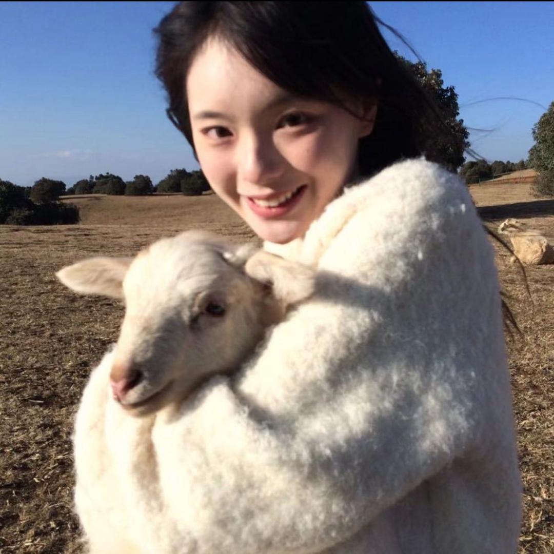 梨涡小鱼