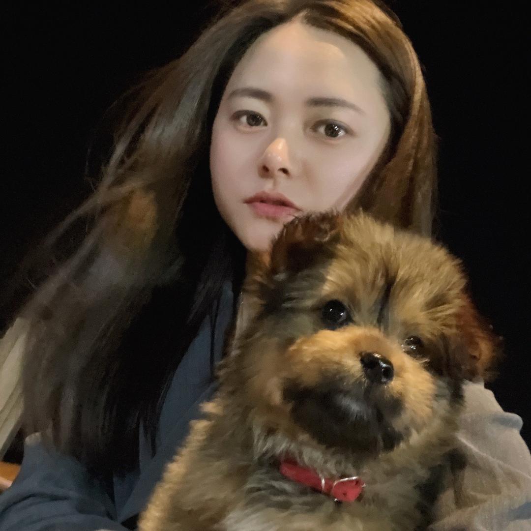 可爱死了•球球🐶