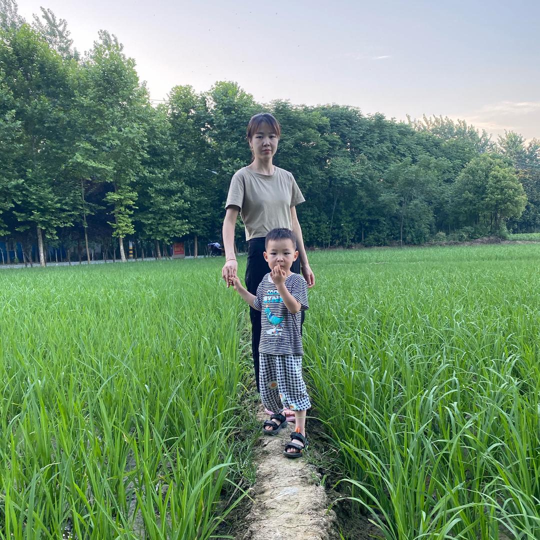 橙橙子