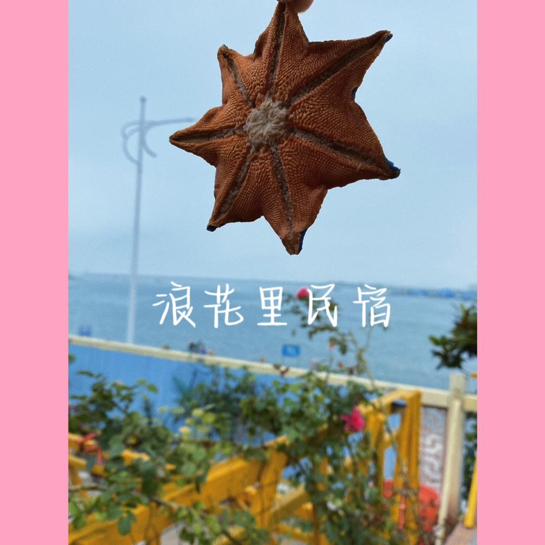 白宫花园民宿～浪花里民宿