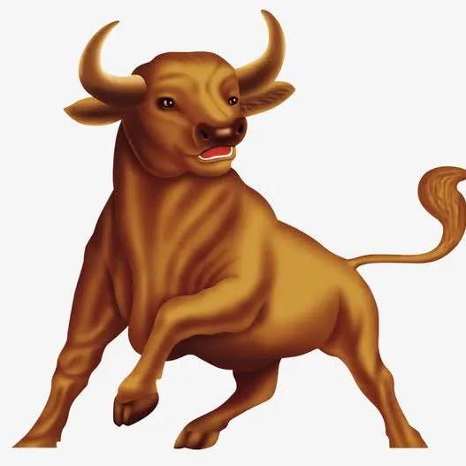 迪硕繁生鲜的头像