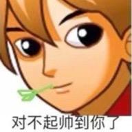 对不起帅到你了