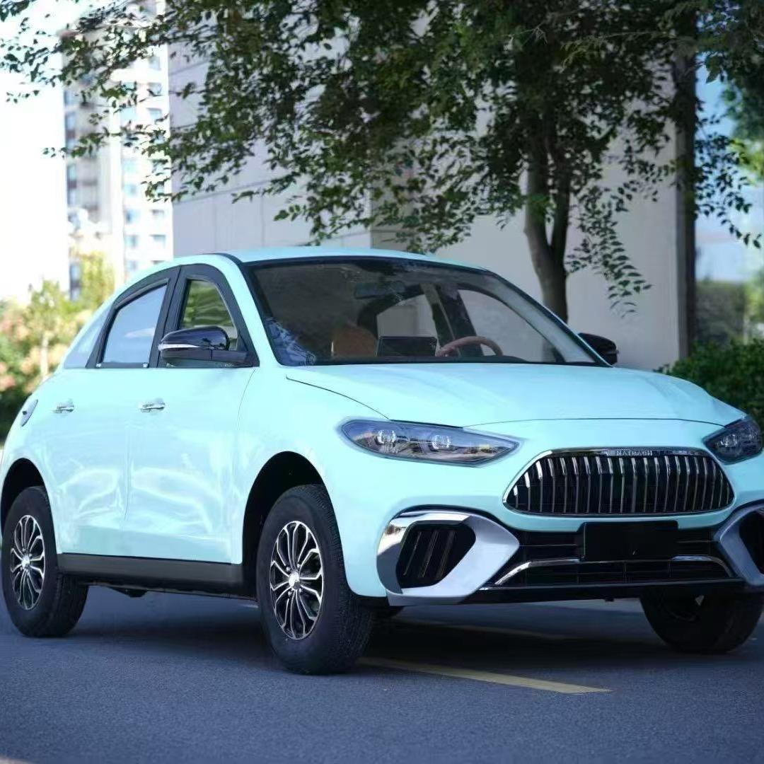 迪速新能源电轿车工厂