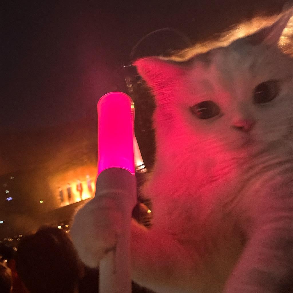 猛品菠萝汁