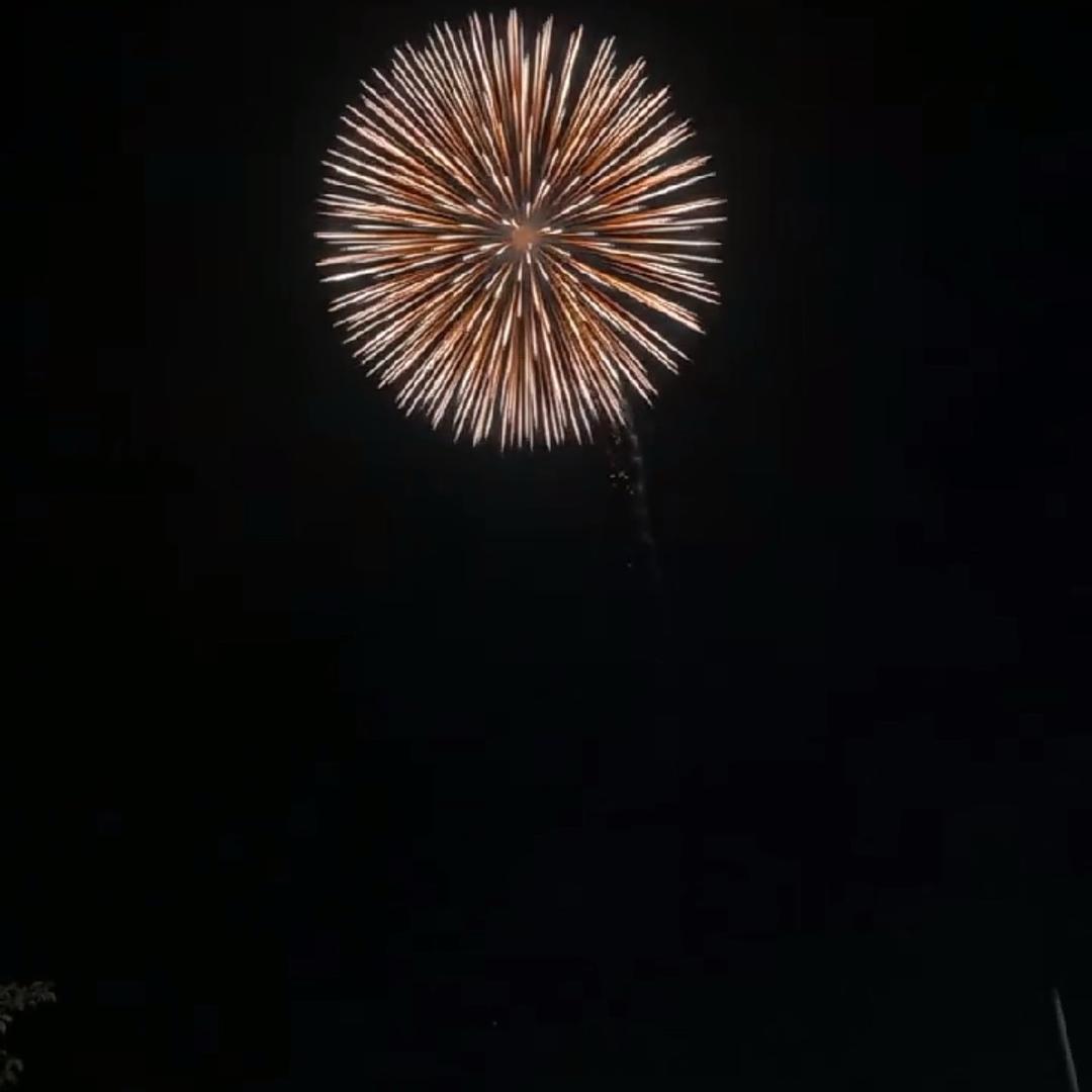 图个乐