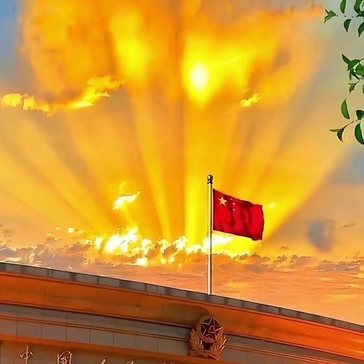 琳🇨🇳