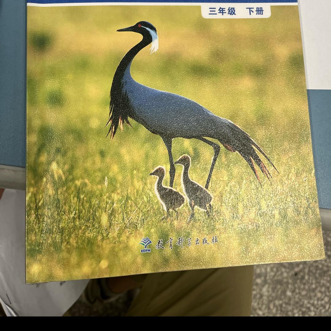 麦克.布莱克和吴斌斌