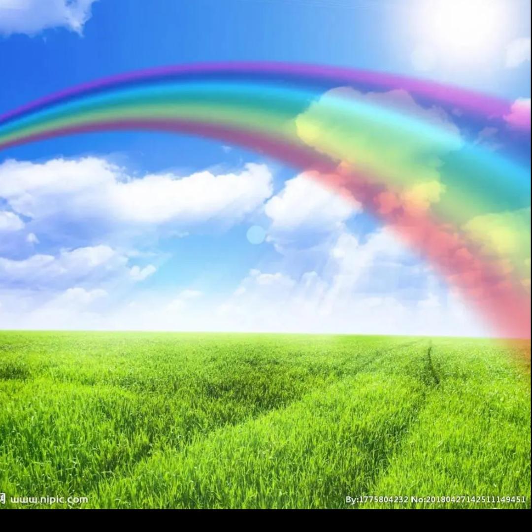 🌈彩虹🌈