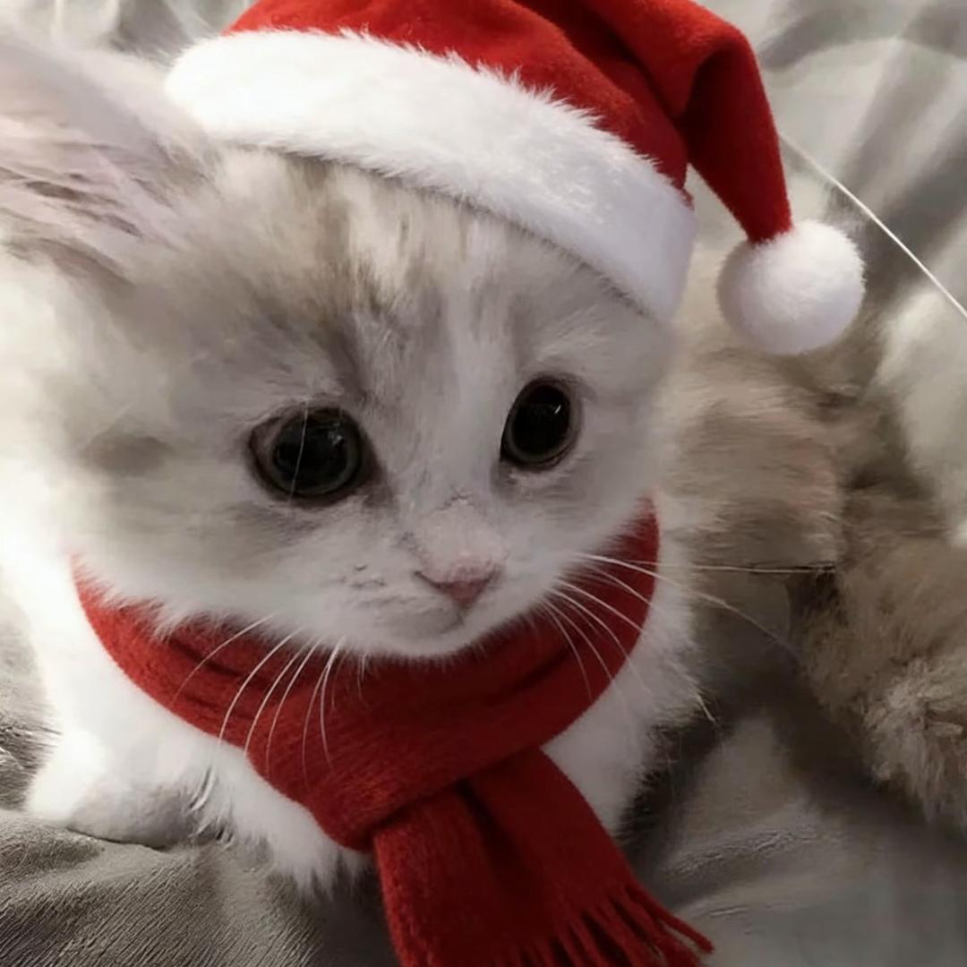 凌晨四点喂鸡撞破前任和男同私会狂扇大蜜臀