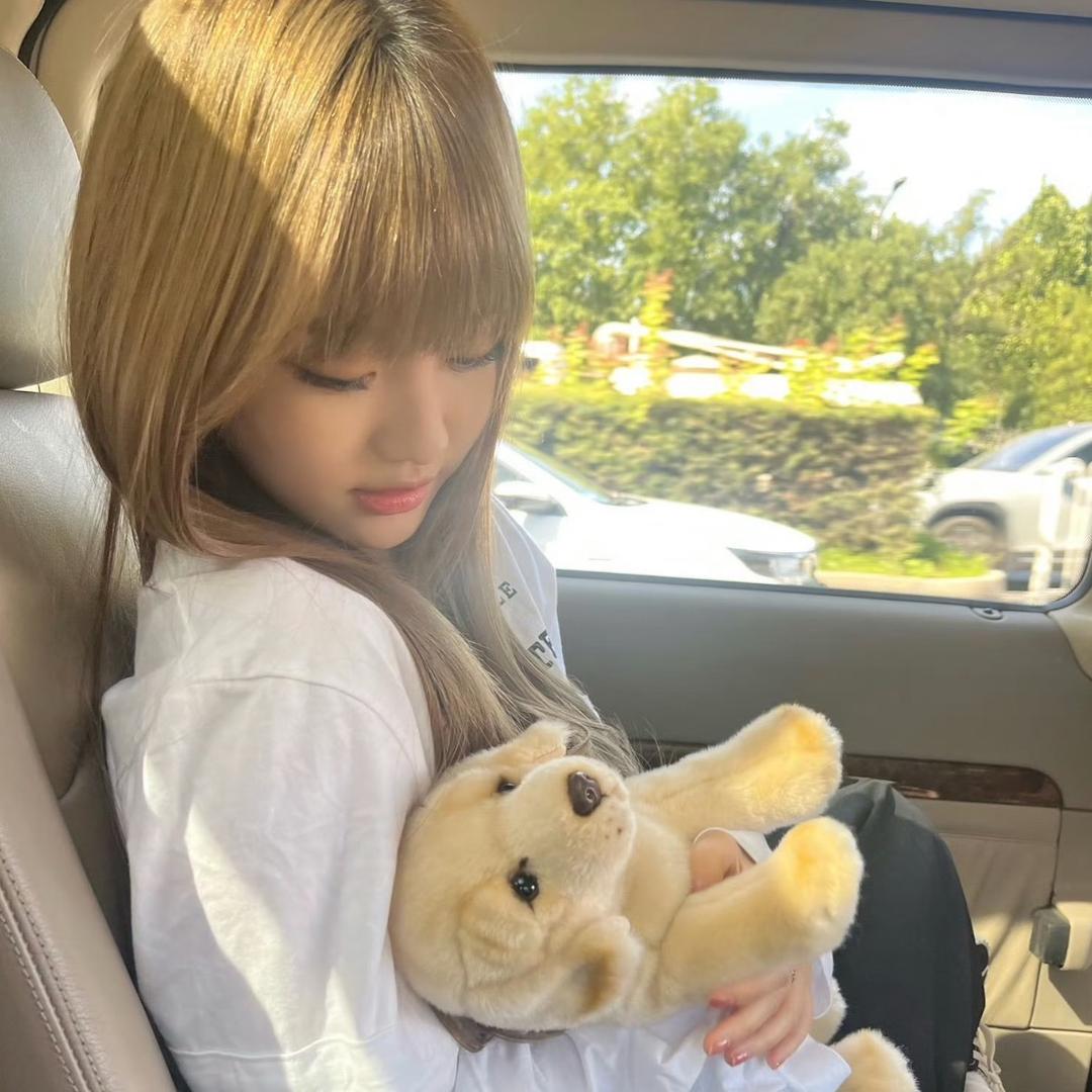 猫᳐猫᳐教主੭゛