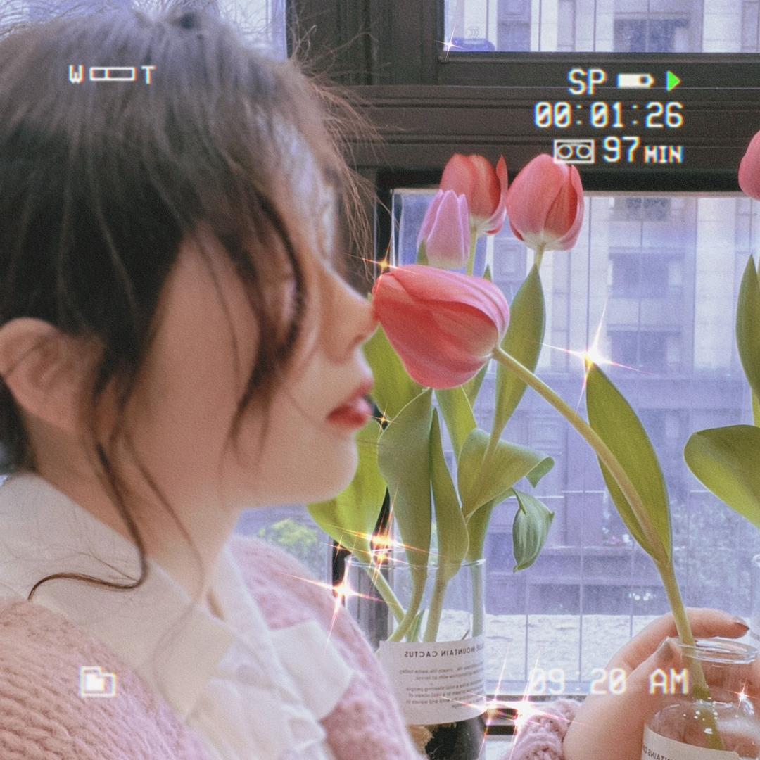 虾虾虾虾宝