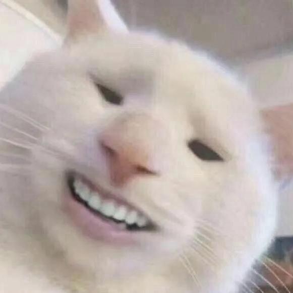 纯情公🐒
