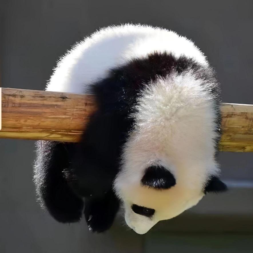 多读点书