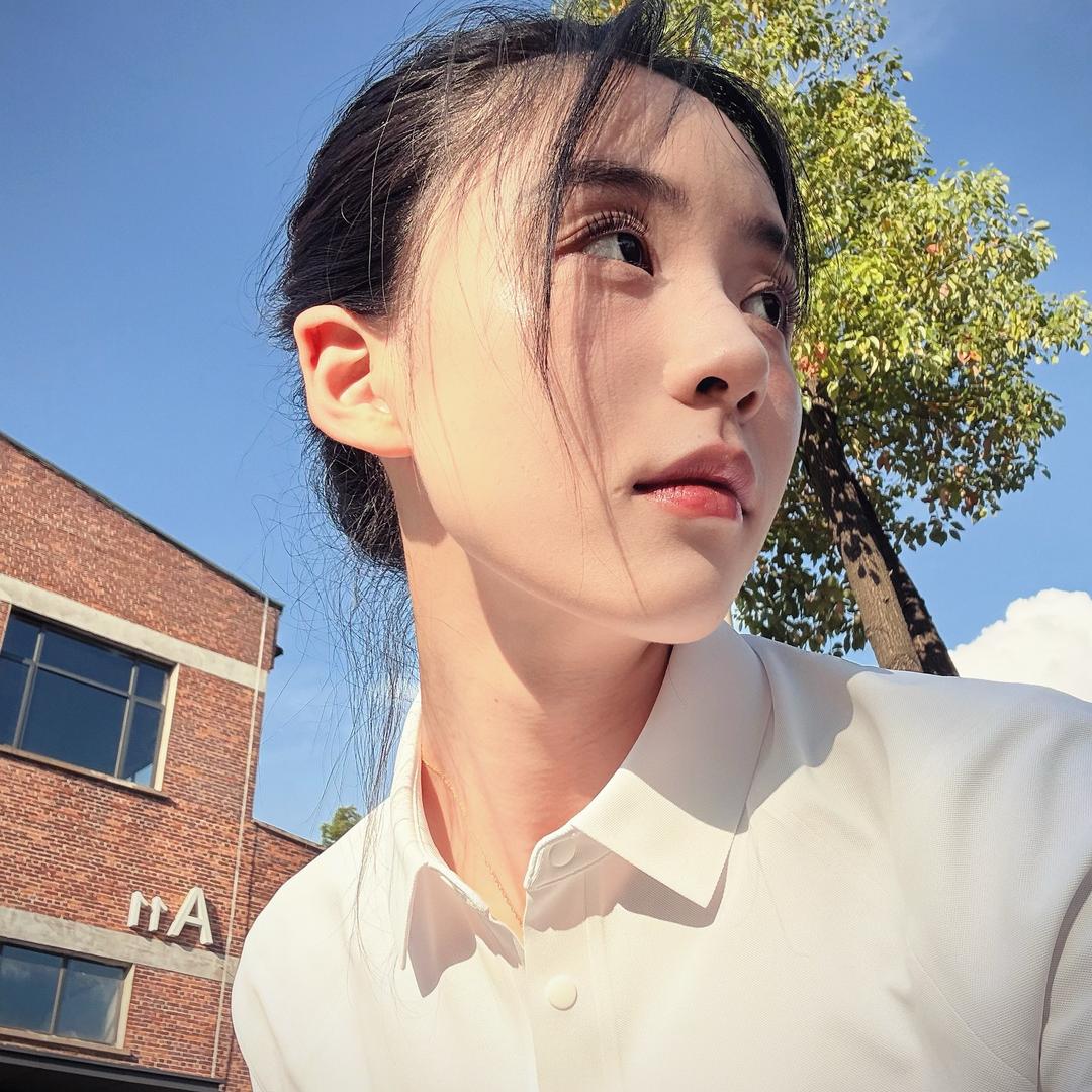 夹心