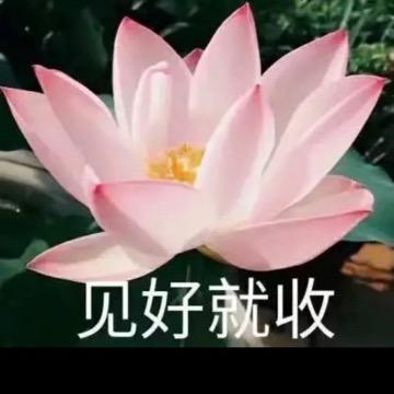 稳赏好物