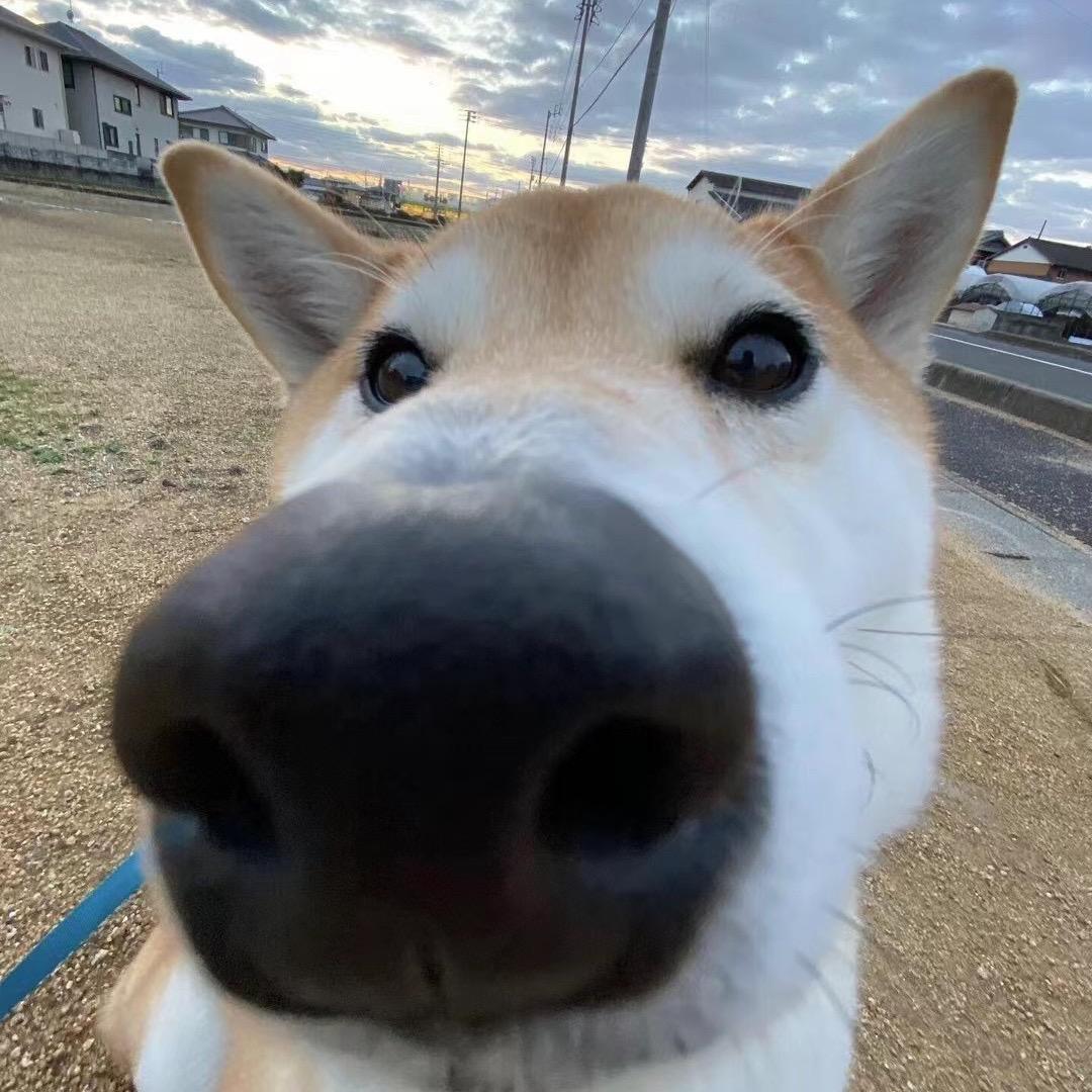 随  心