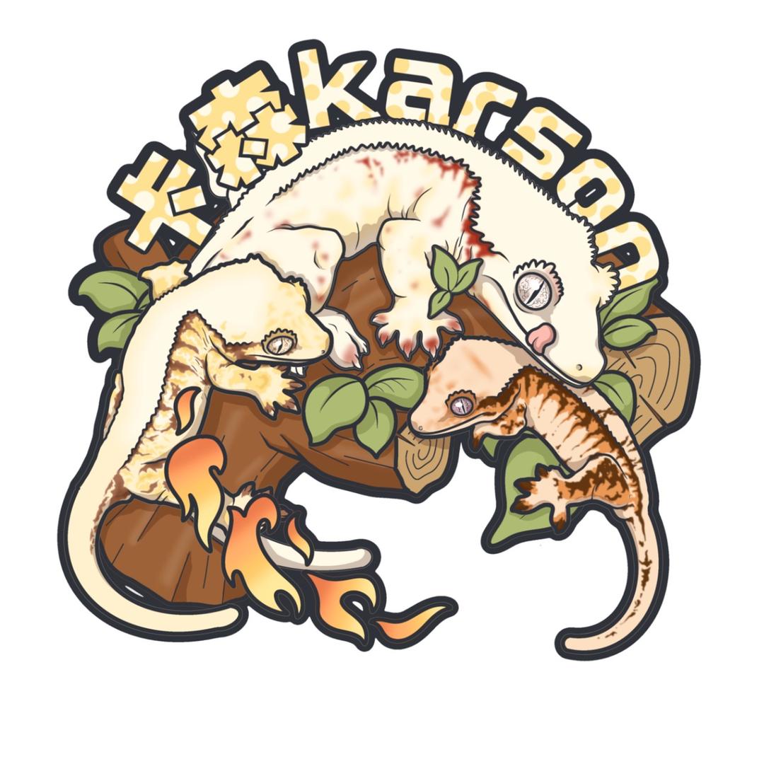 karson卡森