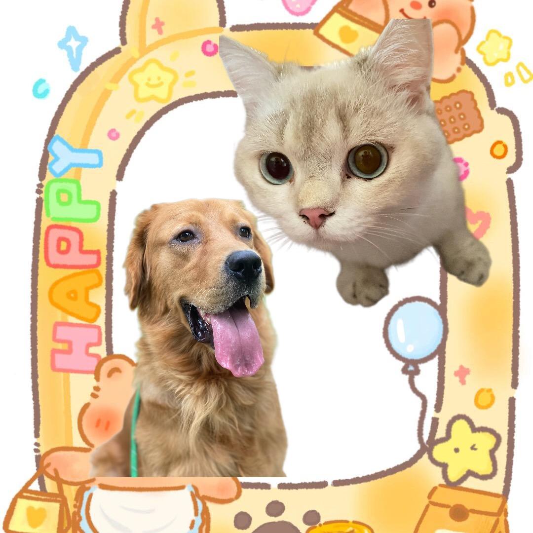Joey的一家🐱🐶