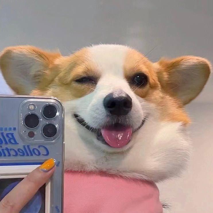 小银子