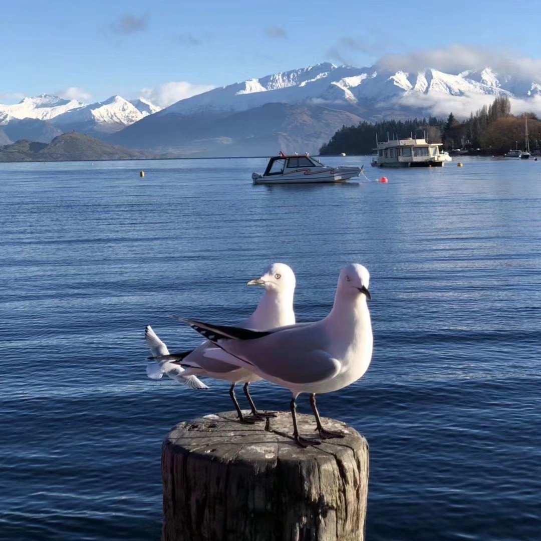 太阳