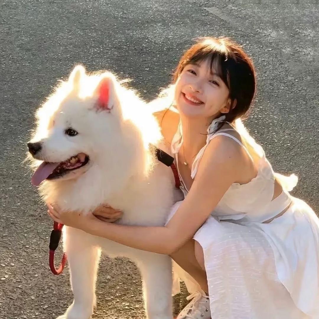 那年夏.
