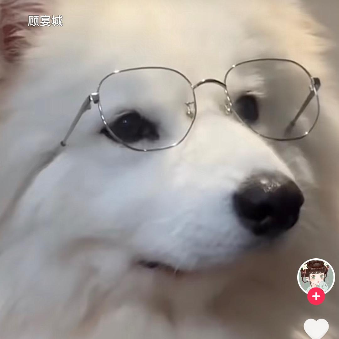 ✨阿墨生活团购
