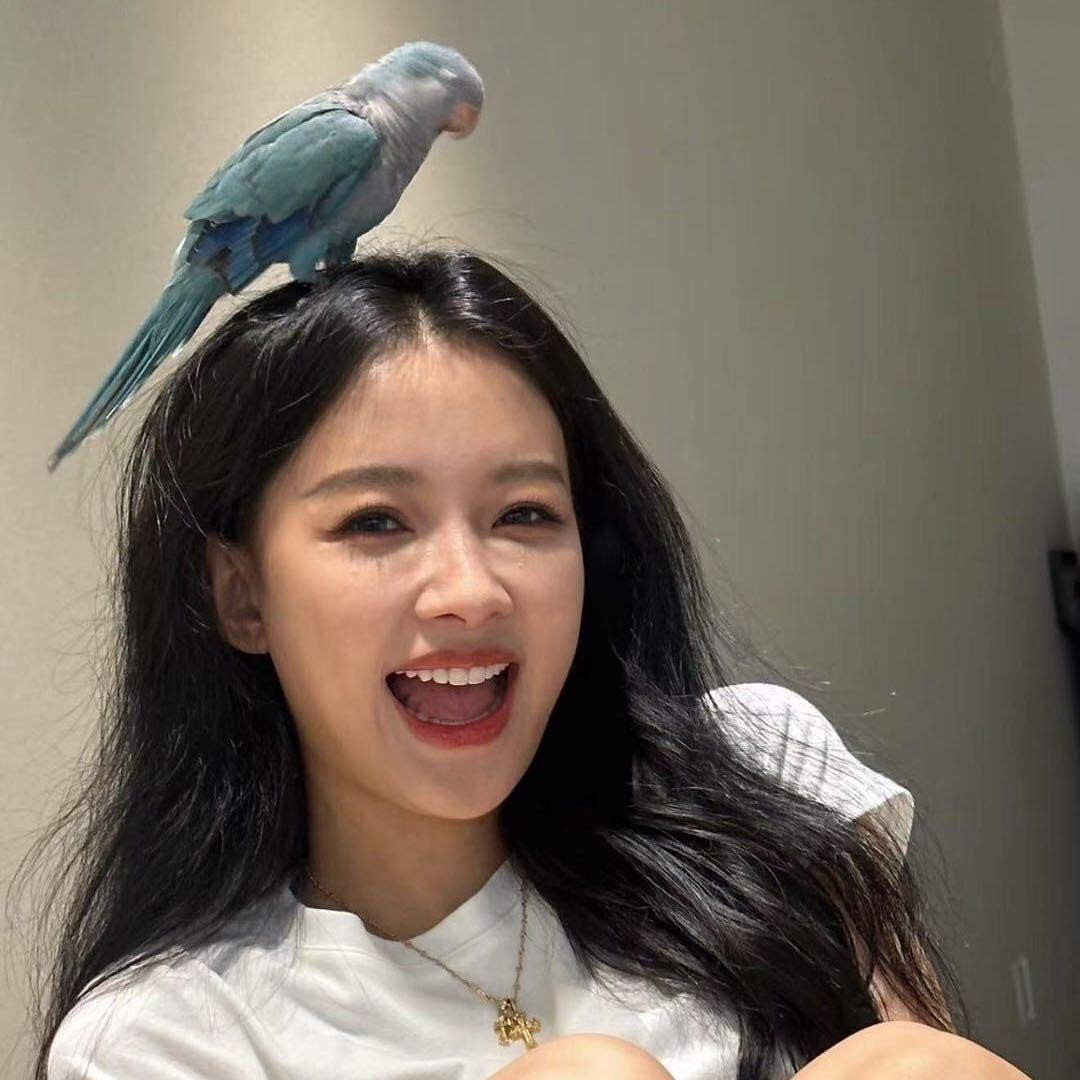 肉肉的鸟窝🦜