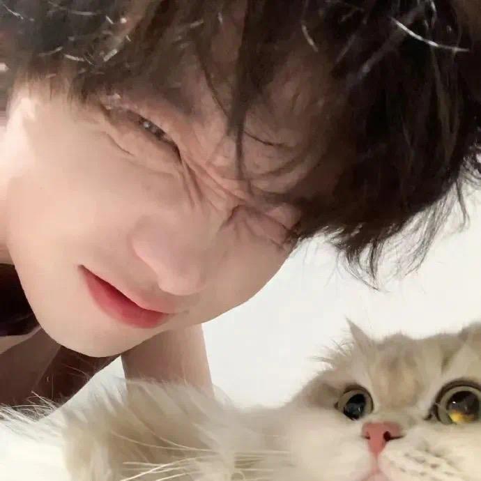 绿绿