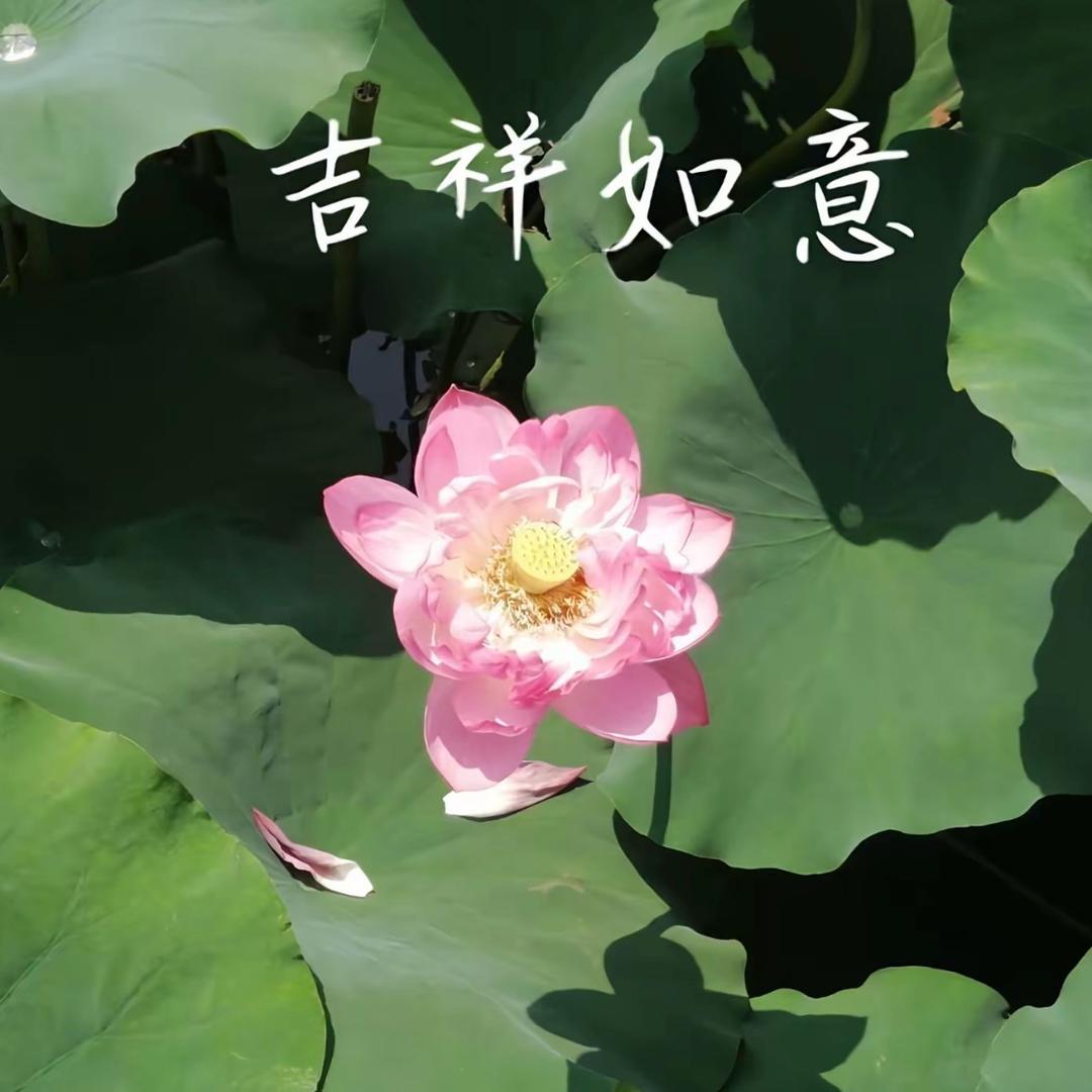 人生如梦