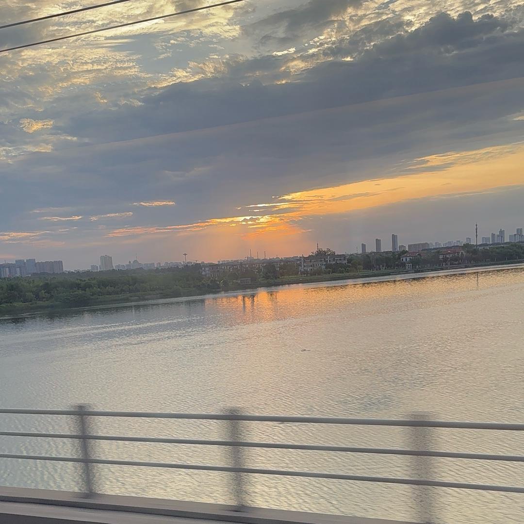 可乐是只猫🎉