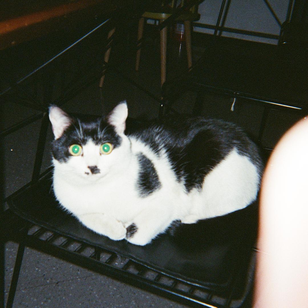 不要再被开水烫到