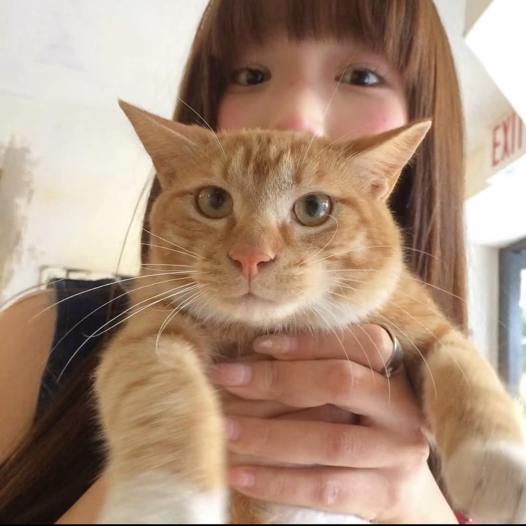 ㅤ ︅︁ㅤ︈ㅤㅤ