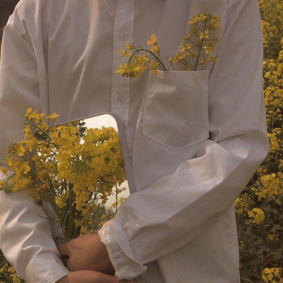 杨小明