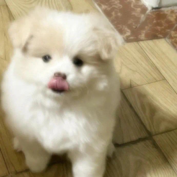 哦哦哦哦哦哦头像