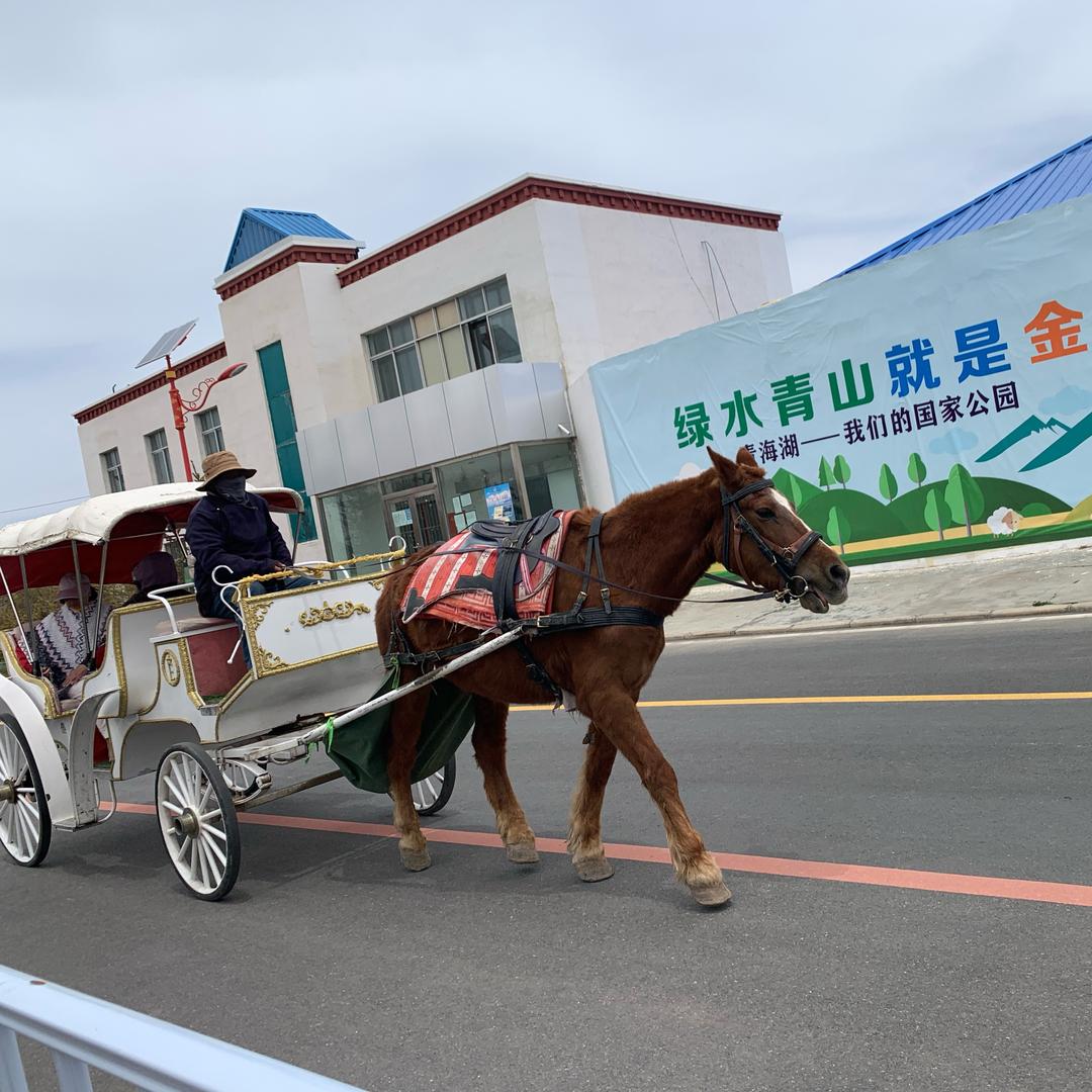 健康平安就是福