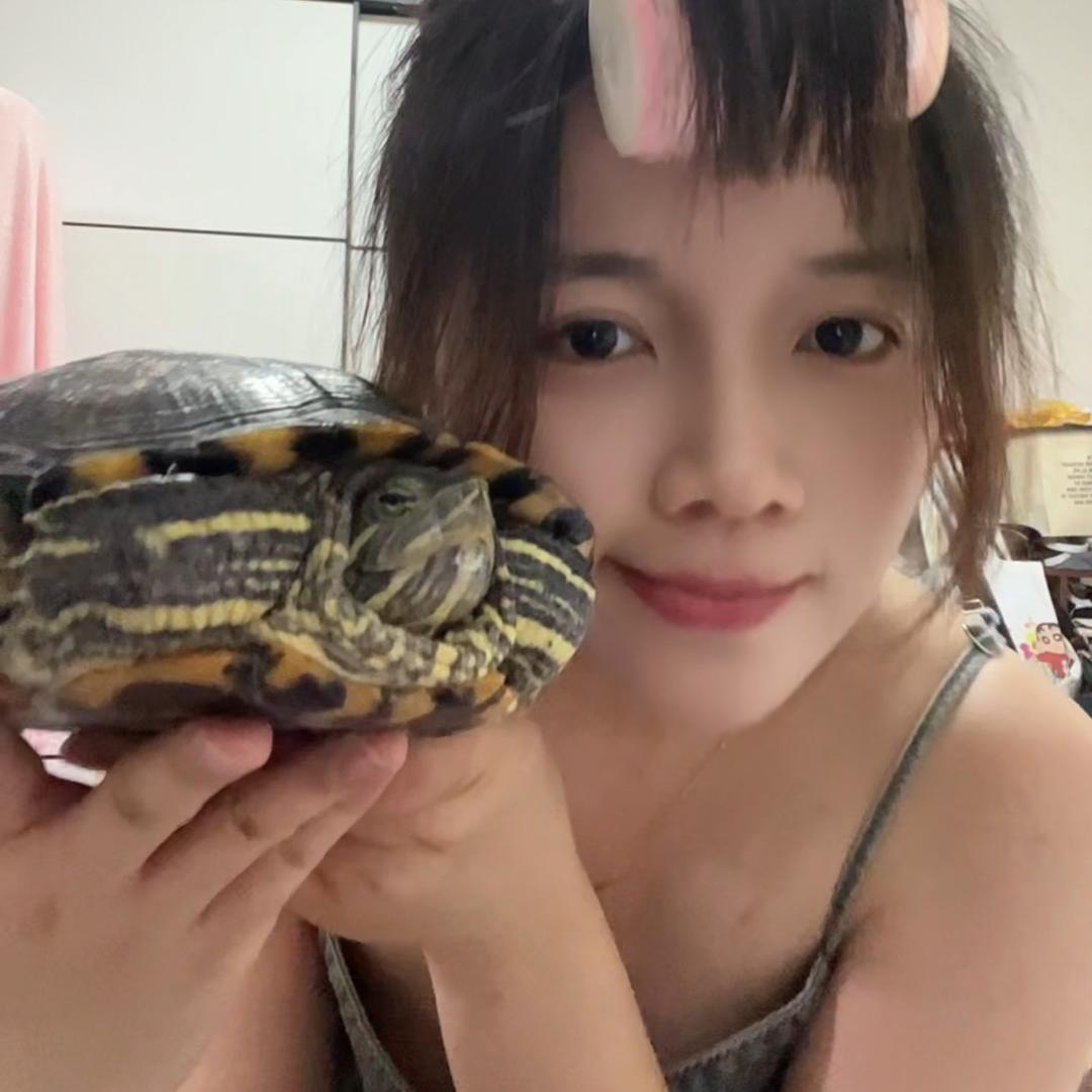 健军是只龟