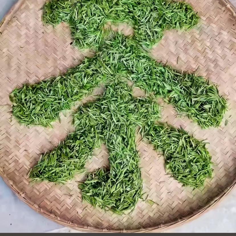阿小妹-普洱