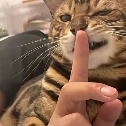 叶湘纶