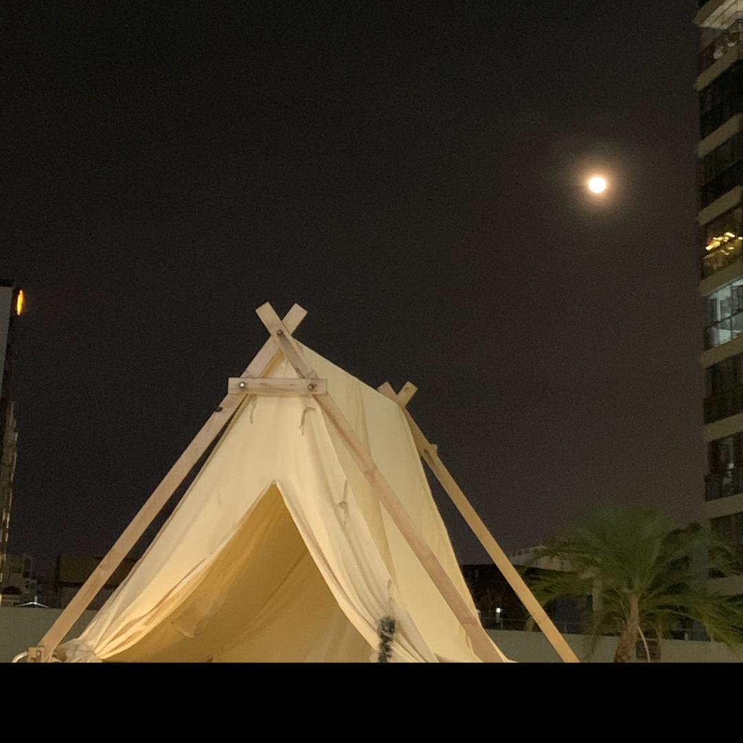 杨小帅的从新开始