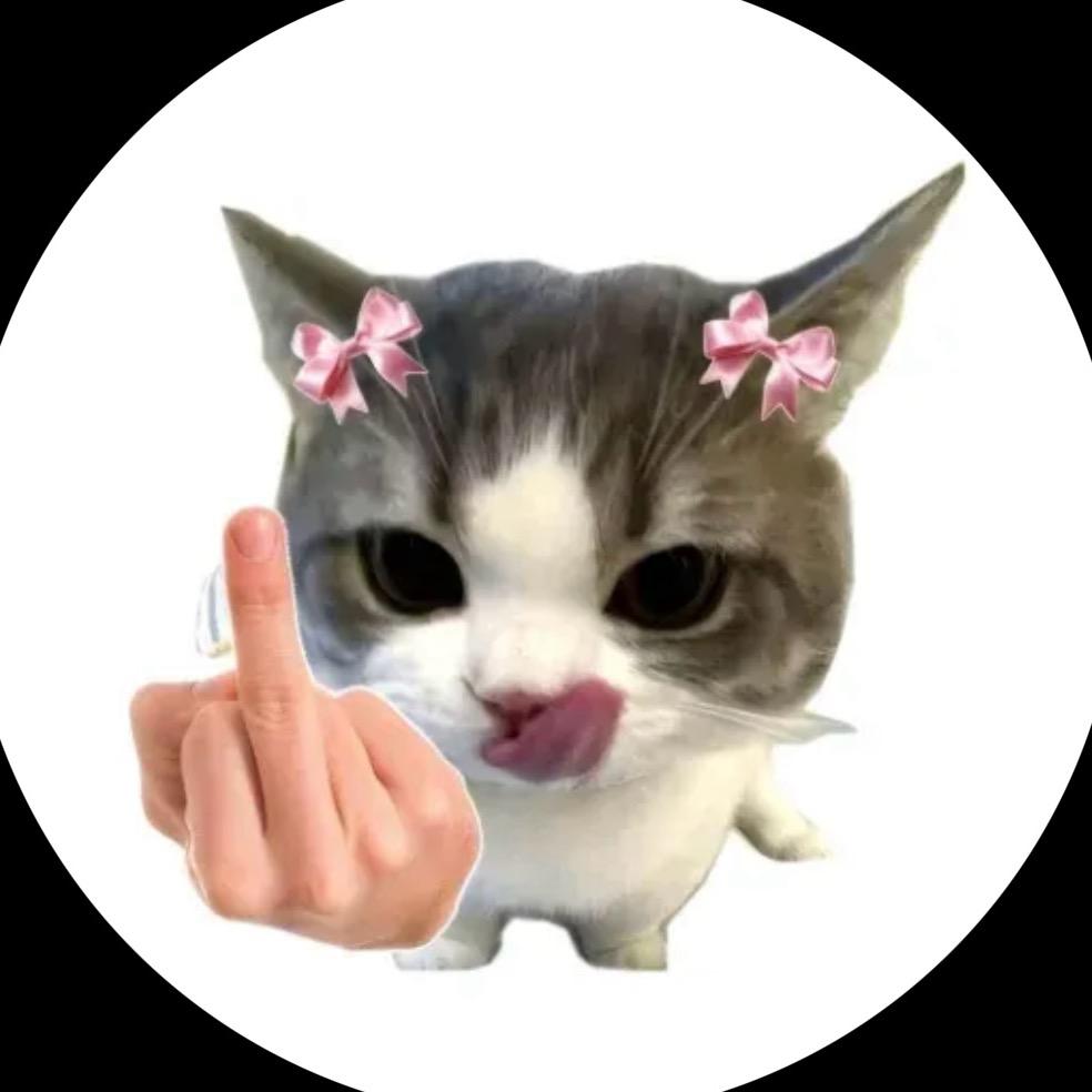 Hello kitty猫