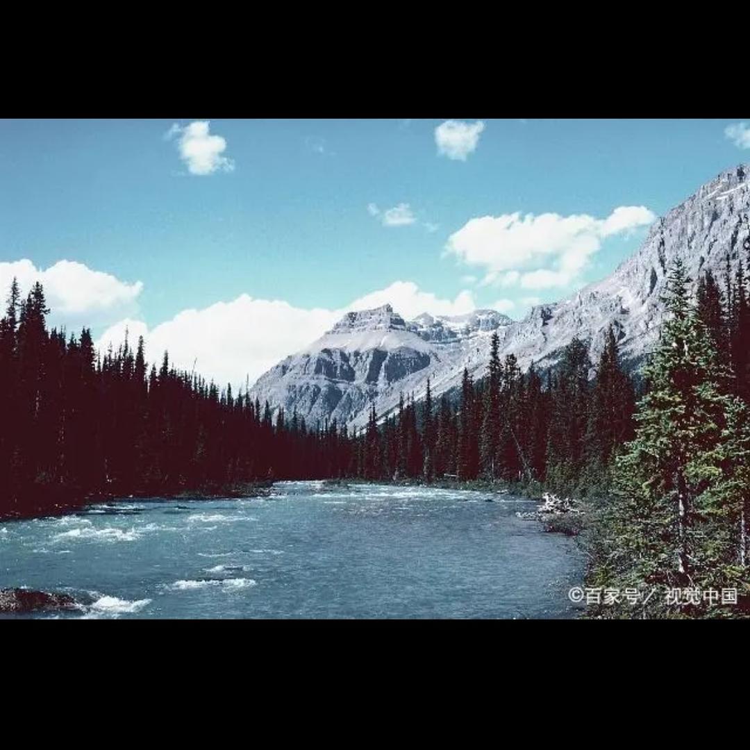 陈陈专业修理安装监控