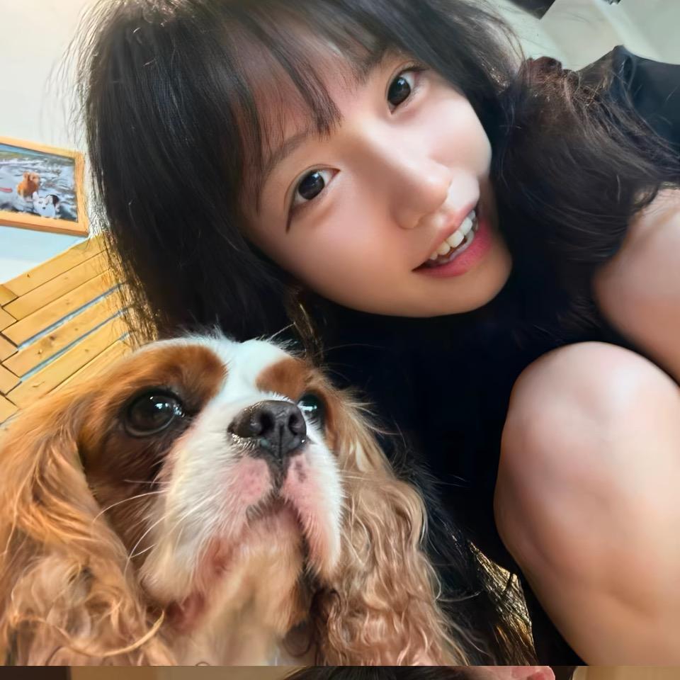 你也喜欢猫么