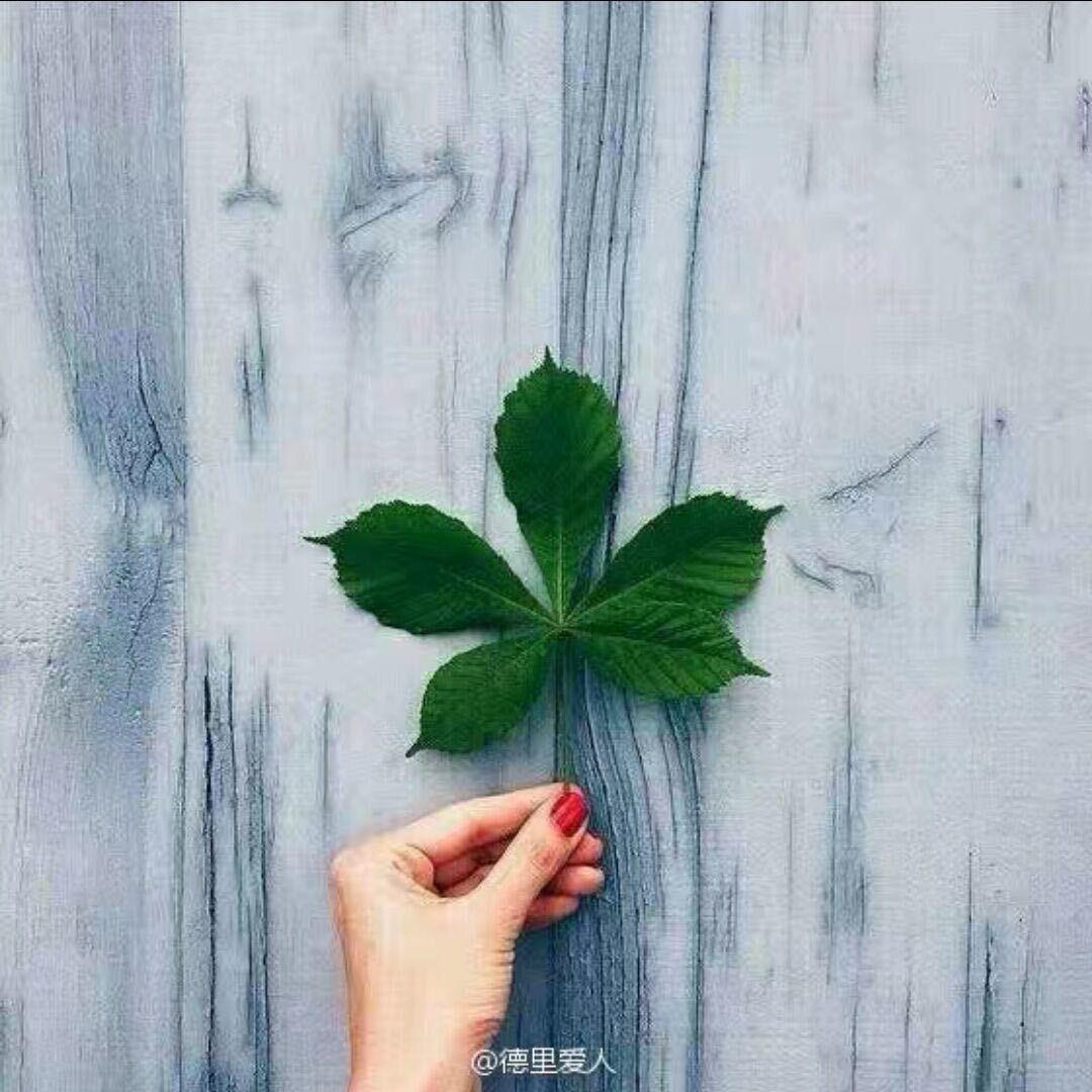 南熙