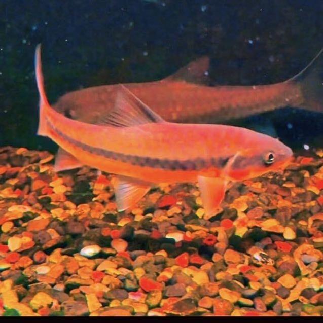 晴然食品用品好货店